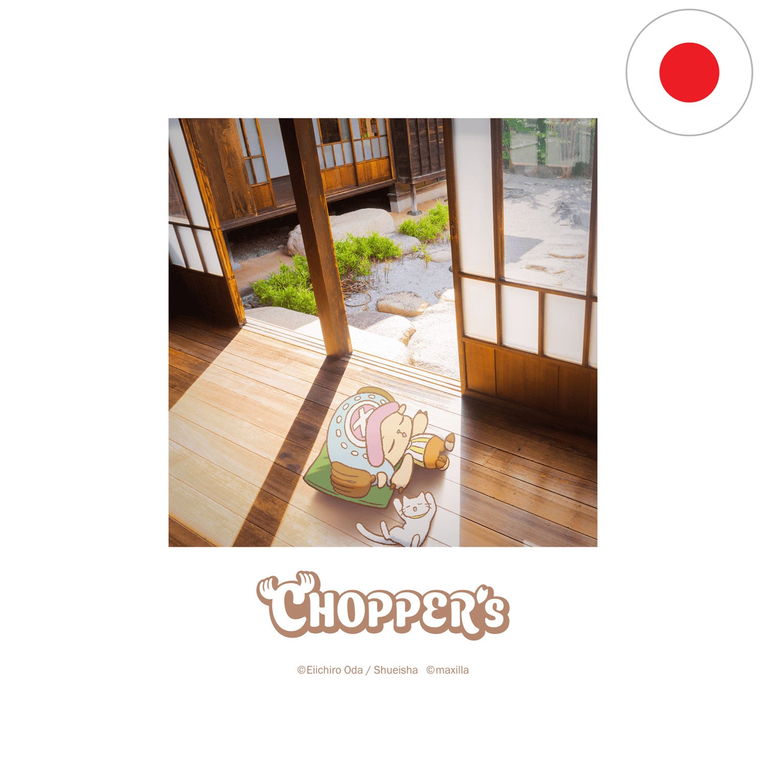 Das exklusive japanische Tony Tony Chopper Booklet aus One Piece full Color Booklet Chopper`s.