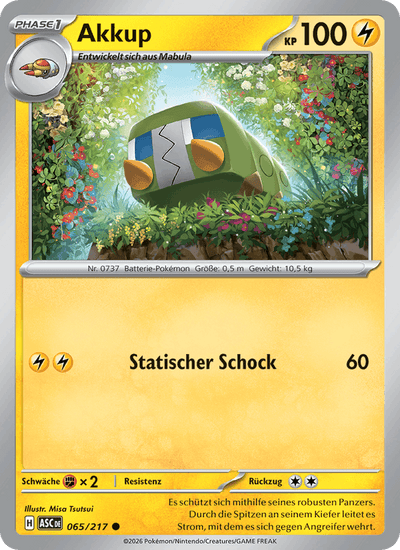 Akkup 065/217 Erhabene Helden Pokémon Karte