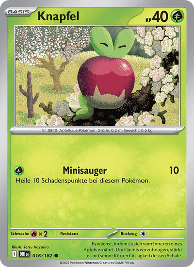 Knapfel 016/182 Ewige Rivalen Pokémon Karte