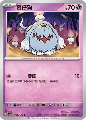 Gruff 066/130 Fearless Terastal Pokémon Karte