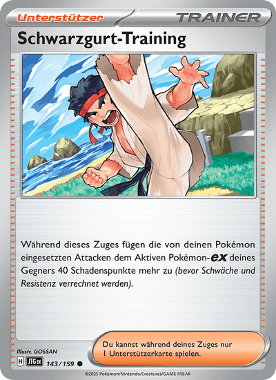 Schwarzgurt-Training 143/159 Reisegefährten Pokémon Karte